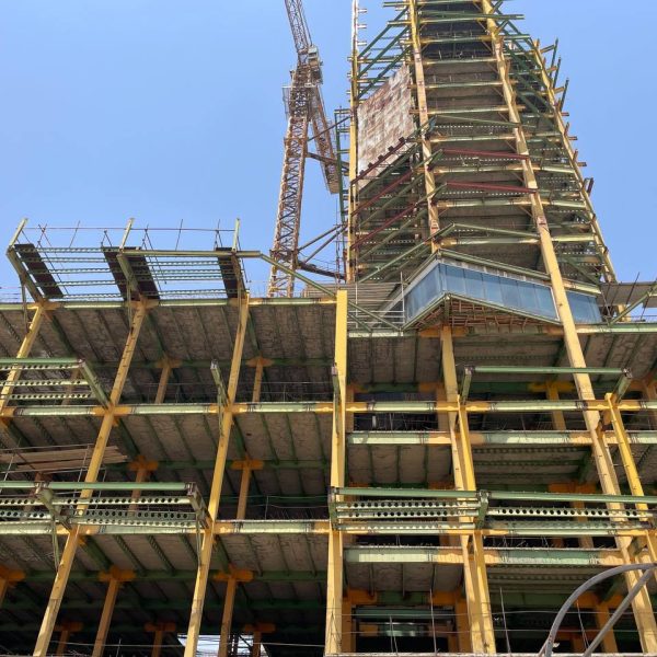 photo_3_2024-08-19_11-25-11-600x600